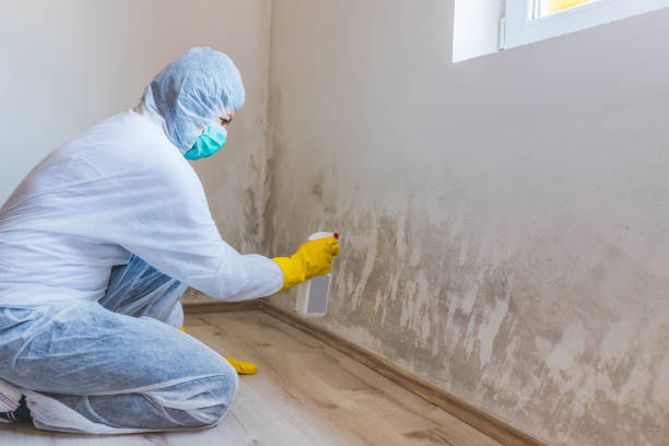 Licensed Commercial Mold Remediation service in Jenkintown, PA - WQB Mold Removal